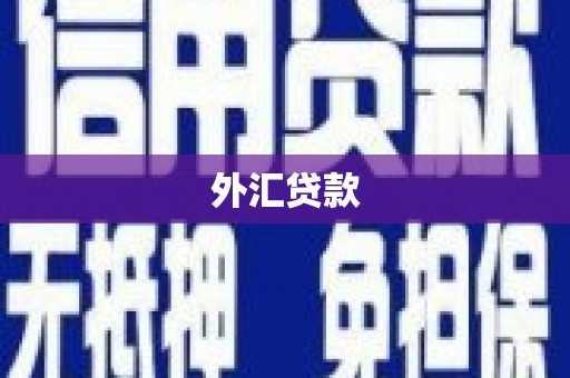 福海外汇贷款