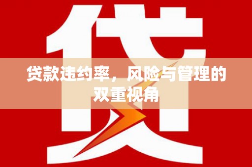 福海贷款违约率，风险与管理的双重视角