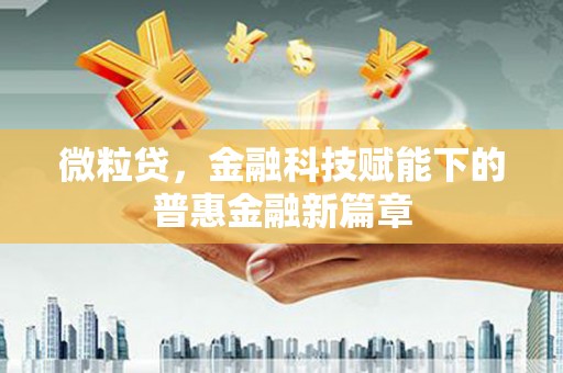 福海微粒贷，金融科技赋能下的普惠金融新篇章