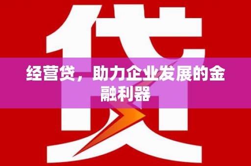 福海经营贷，助力企业发展的金融利器