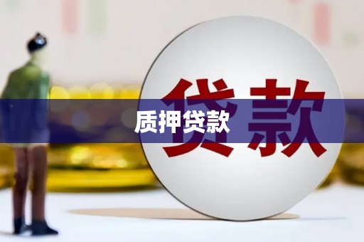 福海质押贷款