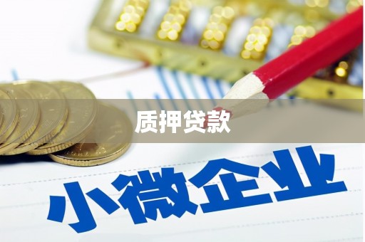 福海质押贷款