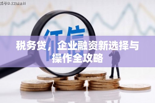 福海税务贷，企业融资新选择与操作全攻略