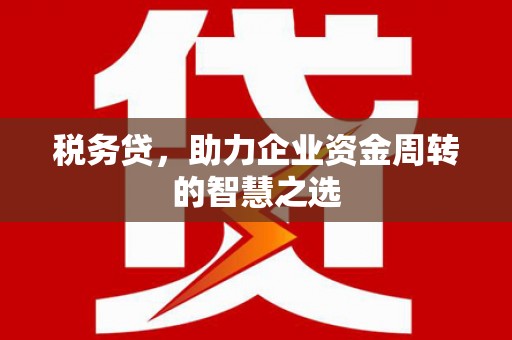 福海税务贷，助力企业资金周转的智慧之选