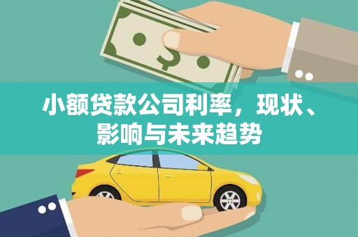福海小额贷款公司利率，现状、影响与未来趋势