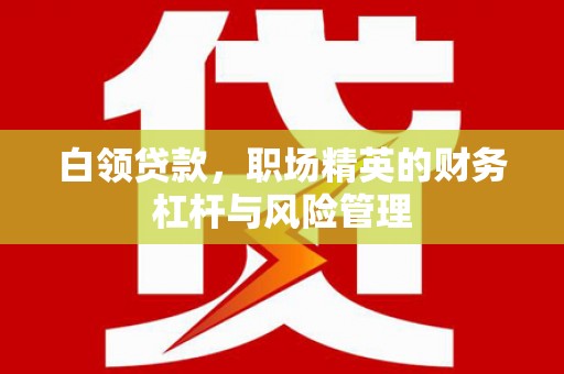 福海白领贷款，职场精英的财务杠杆与风险管理
