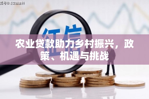福海农业贷款助力乡村振兴，政策、机遇与挑战
