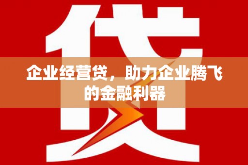 福海企业经营贷，助力企业腾飞的金融利器