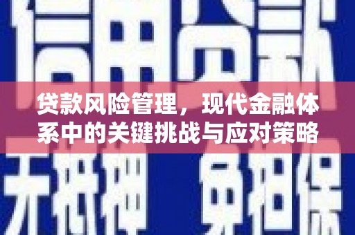 福海贷款风险管理，现代金融体系中的关键挑战与应对策略