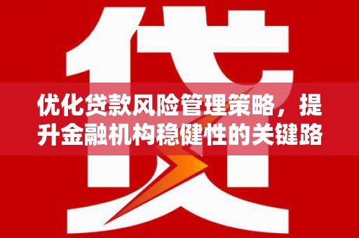 福海优化贷款风险管理策略，提升金融机构稳健性的关键路径