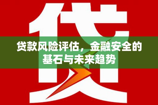 福海贷款风险评估，金融安全的基石与未来趋势