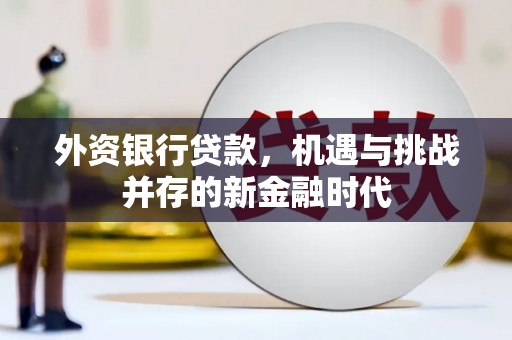 福海外资银行贷款，机遇与挑战并存的新金融时代