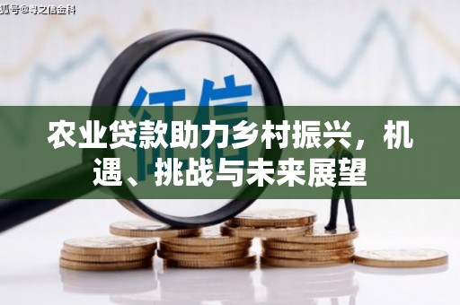 福海农业贷款助力乡村振兴，机遇、挑战与未来展望