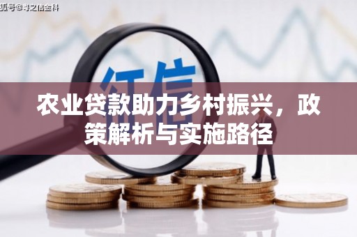 福海农业贷款助力乡村振兴，政策解析与实施路径