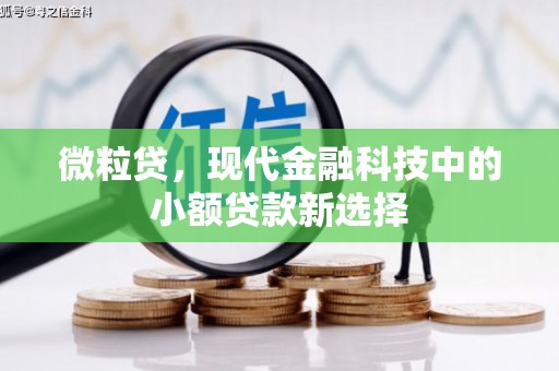 福海微粒贷，现代金融科技中的小额贷款新选择