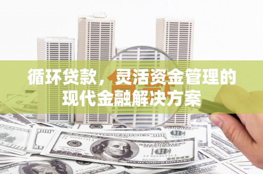 福海循环贷款，灵活资金管理的现代金融解决方案