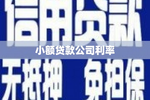 福海小额贷款公司利率