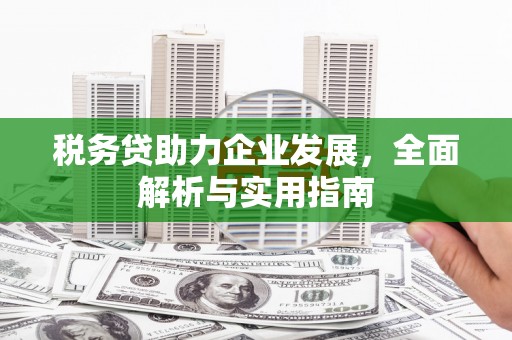 福海税务贷助力企业发展，全面解析与实用指南