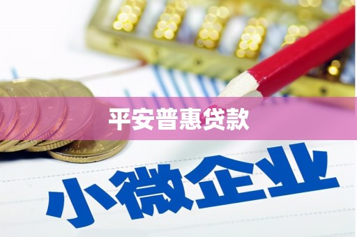 福海平安普惠贷款