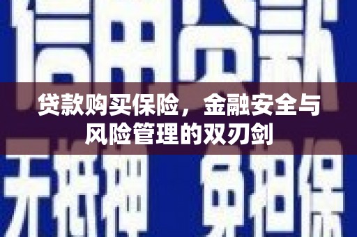 福海贷款购买保险，金融安全与风险管理的双刃剑