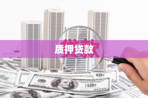 福海质押贷款