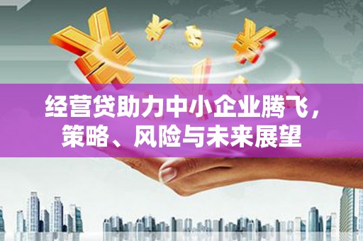 福海经营贷助力中小企业腾飞，策略、风险与未来展望
