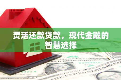 福海灵活还款贷款，现代金融的智慧选择