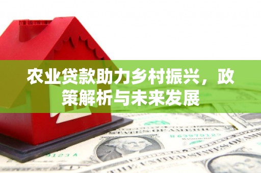福海农业贷款助力乡村振兴，政策解析与未来发展