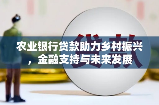 福海农业银行贷款助力乡村振兴，金融支持与未来发展