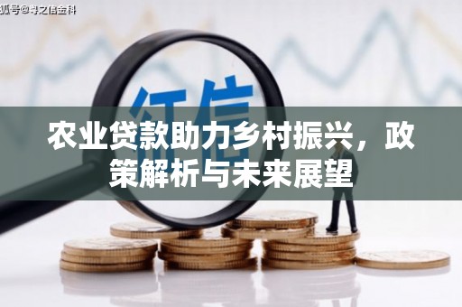福海农业贷款助力乡村振兴，政策解析与未来展望