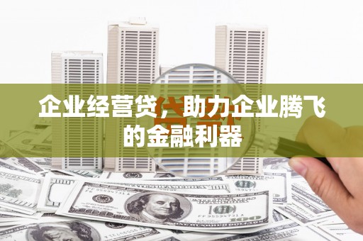 福海企业经营贷，助力企业腾飞的金融利器