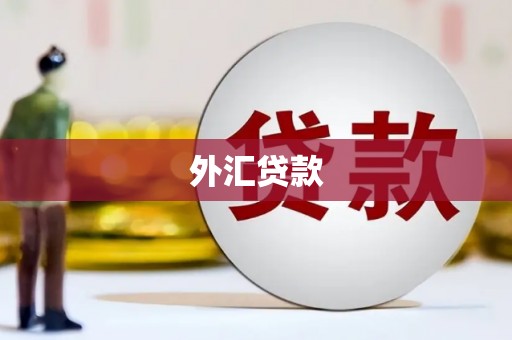 福海外汇贷款
