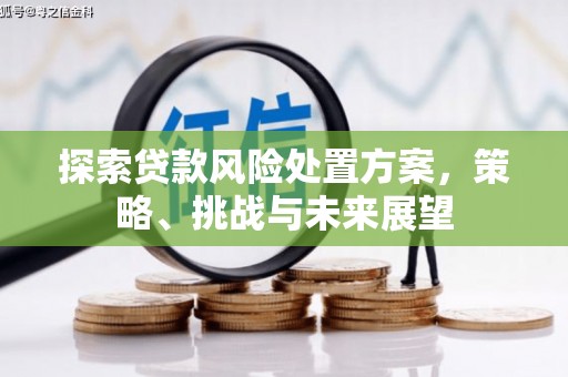 福海探索贷款风险处置方案，策略、挑战与未来展望