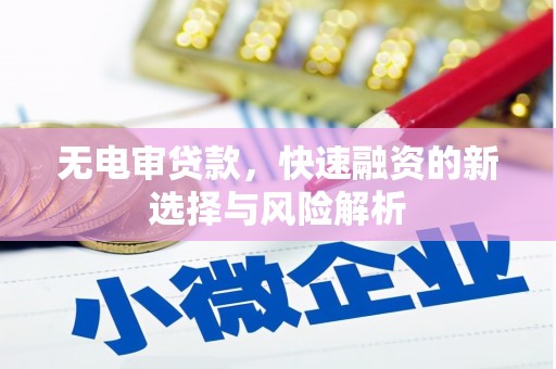 福海无电审贷款，快速融资的新选择与风险解析