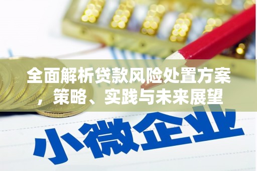 福海全面解析贷款风险处置方案，策略、实践与未来展望