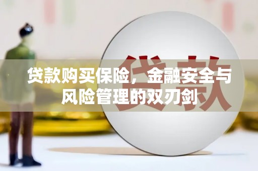 福海贷款购买保险，金融安全与风险管理的双刃剑