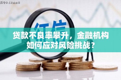 福海贷款不良率攀升，金融机构如何应对风险挑战？