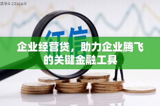 福海企业经营贷，助力企业腾飞的关键金融工具