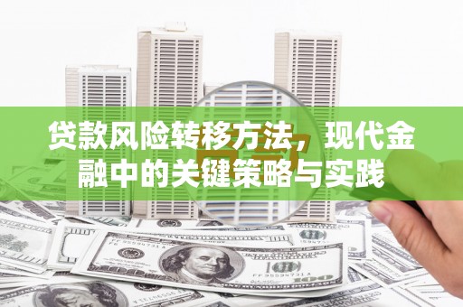 福海贷款风险转移方法，现代金融中的关键策略与实践