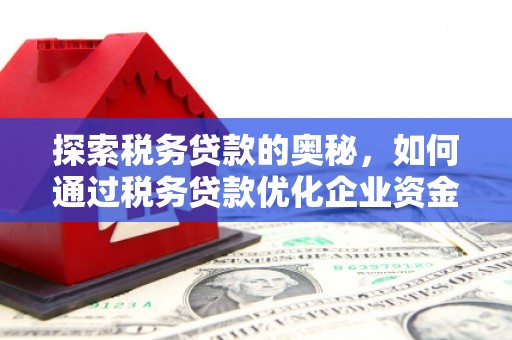 福海探索税务贷款的奥秘，如何通过税务贷款优化企业资金流