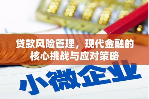 福海贷款风险管理，现代金融的核心挑战与应对策略
