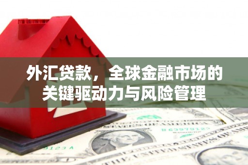 福海外汇贷款，全球金融市场的关键驱动力与风险管理