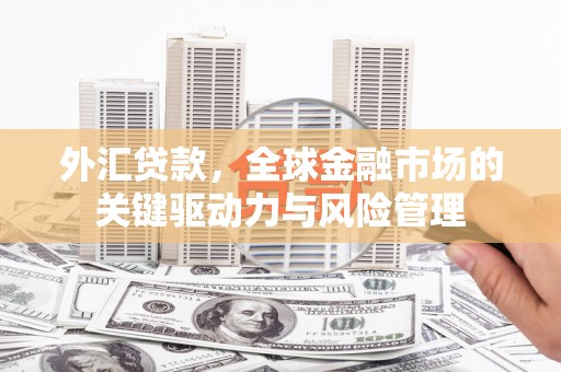 福海外汇贷款，全球金融市场的关键驱动力与风险管理