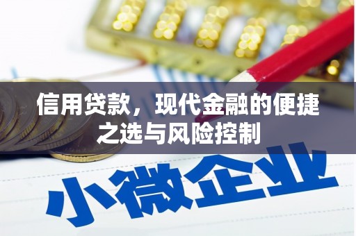 福海信用贷款，现代金融的便捷之选与风险控制