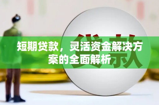 福海短期贷款，灵活资金解决方案的全面解析