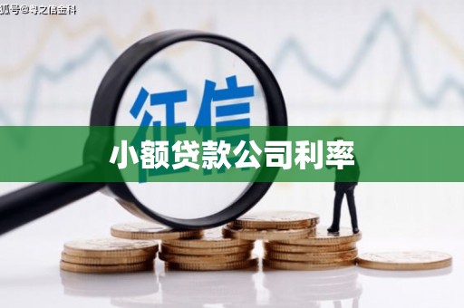 福海小额贷款公司利率