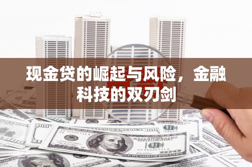 福海现金贷的崛起与风险，金融科技的双刃剑