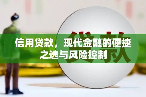 福海信用贷款，现代金融的便捷之选与风险控制