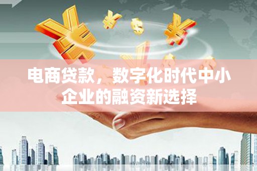 福海电商贷款，数字化时代中小企业的融资新选择