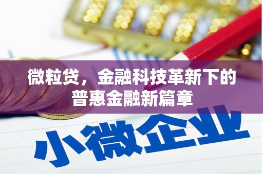 福海微粒贷，金融科技革新下的普惠金融新篇章